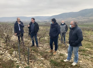 Assurances climatiques : FDSEA et JA appellent à « changer de logiciel »