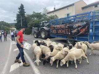 « Il nous faut de la protection »