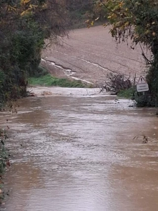 Inondations : des dégats pour le secteur agricole