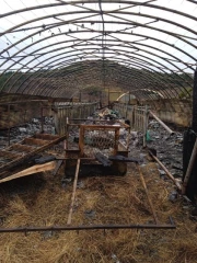 Plus d’une centaine de chèvres périssent dans un incendie 