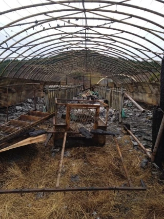 Plus d’une centaine de chèvres périssent dans un incendie 