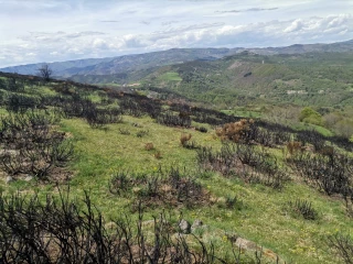 « Les risques ne peuvent plus être considérés séparément »