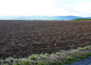 Les OPA écrivent la future loi foncière