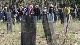 Plan forêt-bois : penser « la forêt comme un tout »