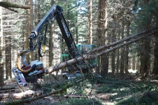 Mieux appréhender l’univers forestier