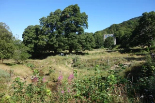 Profiter de l’été en forêt : les bons gestes à connaître