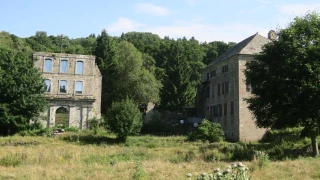 Profiter de l’été en forêt : les bons gestes à connaître