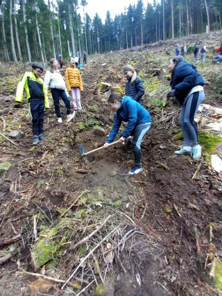 Un relais pour l’avenir de la forêt
