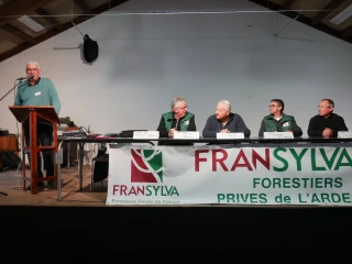 Forêts difficiles d'accès : un frein à la valorisation du bois