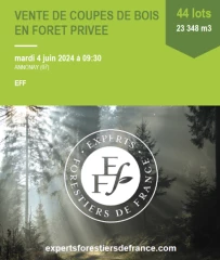 Une forte demande en bois rond