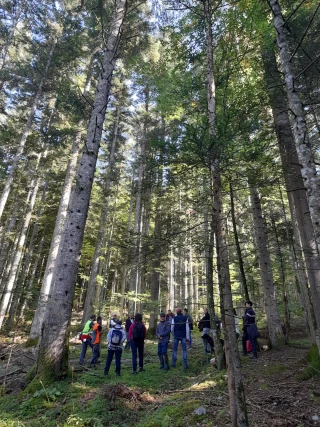 10 000 arbres pour reboiser la forêt ardéchoise 