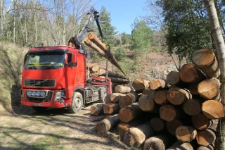 « B2F », la bourse d’achat-vente de biens forestiers en ligne 