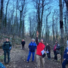 Démonstration d’une coupe en futaie irrégulière
