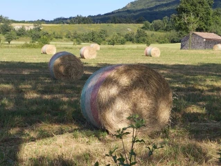 Un printemps chafouin