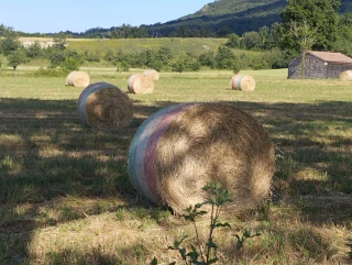 Un printemps chafouin