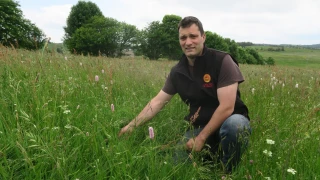 Une situation favorable en montagne