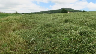 L'autonomie fourragère, ça s'cultive !