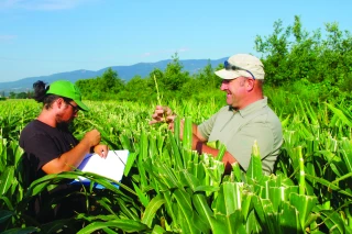 La filière semences recrute