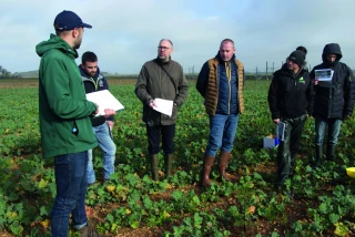 Évaluer l’impact du labour et du semis direct sur les sols