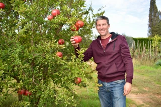 La grenade française promise à un bel avenir