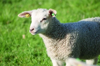 Tour d'horizon des difficultés rencontrées par les filières en Ardèche