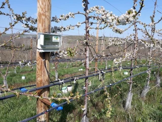 Vers une irrigation de précision