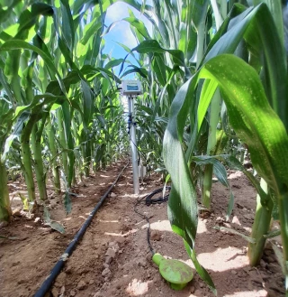 Irrigation : quelles marges de manœuvre pour des pratiques optimisées