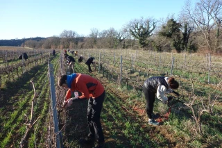 Maëlys Roux et Tiffany Riefa remportent les concours de taille