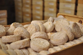 Les producteurs de fromages de chèvre sont à bout de souffle