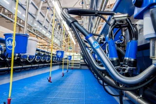 Concilier productivité et confort de traite en système roto