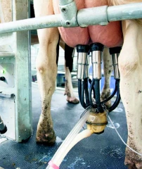 La FNPL veut réussir la transition vers la ferme agroécologique 2030