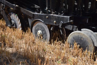 Le semoir en a sous les disques