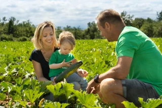 Blédina : La « cueillette des curieux » séduit les familles