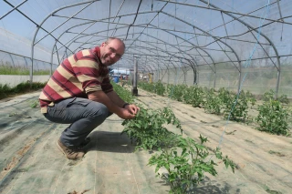 Le maraîchage diversifié, entre difficultés et réussites
