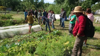 Les maraîchers réunis en « Bout d’champ » 