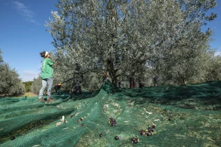 La Magnanerie, une stratégie progressiste et « décalée »