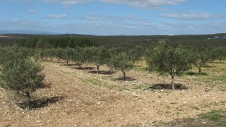 Une récolte très variable dans le département