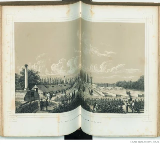 Voyage au coeur de la flore des serres et des jardins d’Europe