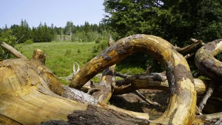 Entre nature et culture, la ligne de partage des eaux se dévoile