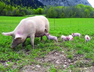 « La question n’est plus de savoir si nous allons être touchés par la PPA mais quand »