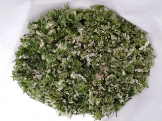 Les commandes se maintiennent en Ppam