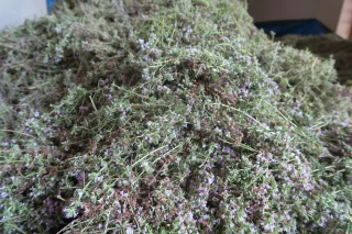 Une campagne « satisfaisante mais insuffisante »