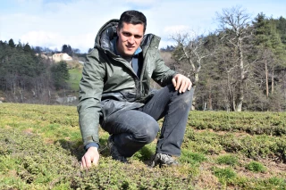 La filière des plantes médicinales, fine fleur des agriculteurs ardéchois 