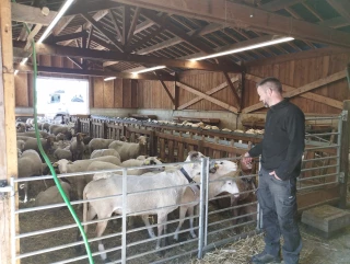 Sylvain Joly, un berger-éleveur qui perpétue les traditions