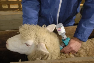 « Il faut demander l’aide régionale »