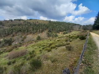Un Plan pastoral territorial est étudié en Nord Ardèche