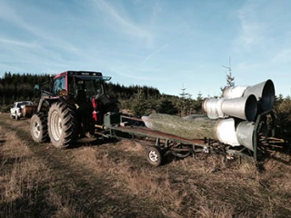 Des sapins bio et 100 % Ardèche !
