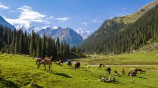 Pourquoi le Kazakhstan est le pays à l'honneur ?