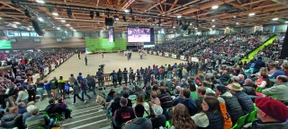 Vaches en Piste 2025 frise les 50 000 visiteurs