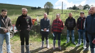 Fièvre catarrhale ovine : anticiper l’après